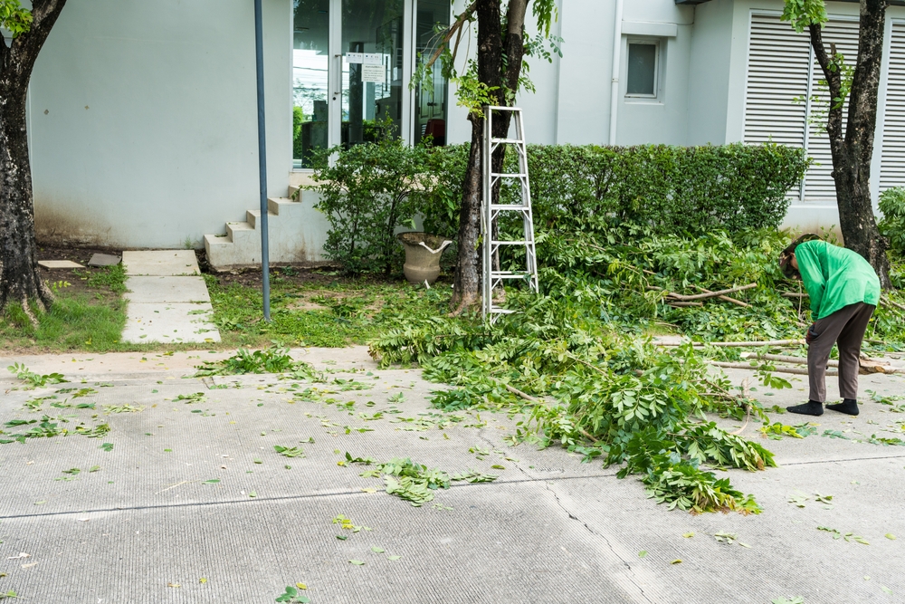 Work,In,The,Garden.,The,Gardener,Is,Cutting,Plants.,Home